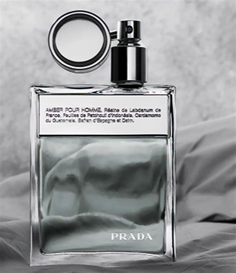 prada amber pour homme vs l& 39|prada amber pour homme fragrantica.